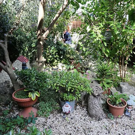 By The Sea Zecevo Rtic, - 10334 *