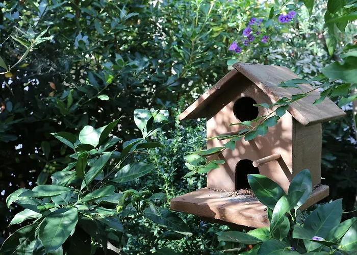 By The Sea Zecevo Rtic, - 10334